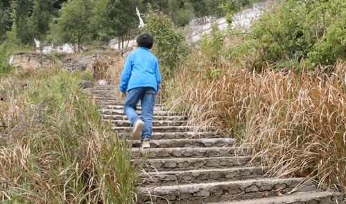 爷爷吃毒瓜蛇的小说免费阅读,生死较量,揭秘神秘植物之谜 第3张 爷爷吃毒瓜蛇的小说免费阅读,生死较量,揭秘神秘植物之谜 第3张