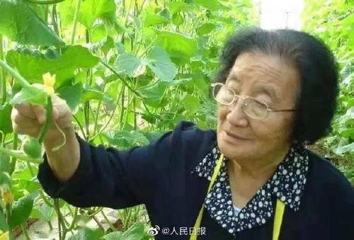 遇狼by吃瓜人好看吗免费阅读,一场惊心动魄的生存挑战,免费阅读带你领略吃瓜人笔下的精彩世界 第3张 遇狼by吃瓜人好看吗免费阅读,一场惊心动魄的生存挑战,免费阅读带你领略吃瓜人笔下的精彩世界 第3张